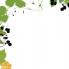 garland border 