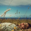 cloud watching