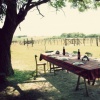 paradise