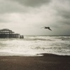 on stormy seas
