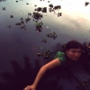 waterlily