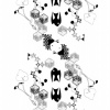 birds repeat