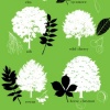 trees