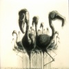 Remnant #1