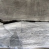 Silver Scape
