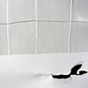 White on White (detail)