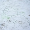 Snow Marks