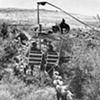Sheep Slope