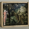 Stereoscope