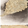Page 445 Tornado