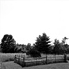 Fenced In, Clermont, New York