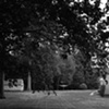 Line Dry, Orange, Connecticut