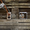 Home Hair Cut, Installation view (Pocket Utopia, Brooklyn)