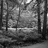 Modern Solitude, Orange, Connecticut