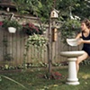 Birdbath