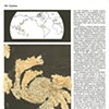 Page 150 Cyclone