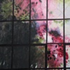 Brandon Larson Window