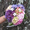 Ashley's Wedding