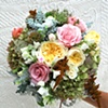 Old English Roses