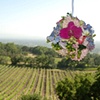 Hanging Balls on the Veranda!