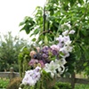 Hanging Basket Alter Arrangement