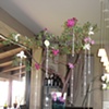 Bar Design