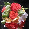 CORAL AND SPRING GREEN