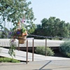 Entryway to Paradise Ridge