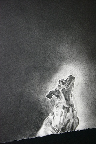 Roxy (Detail)