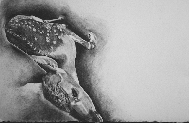 Fawn (Detail)