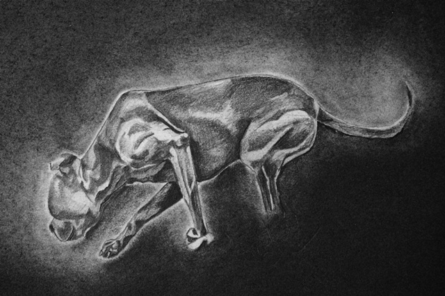 Roxy 3 (Detail)