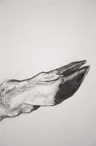 Deer Leg 2 (Detail)