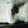 Portrait of Inanimate Objects (Detail)