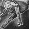 Roxy 3 (Detail)