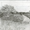 Morven Formal Gardens, Sequence 1