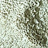 Portrait of Inanimate Objects (Detail)