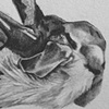 Decomposing Dog (Detail)