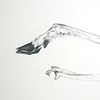 Deer Leg 1