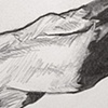 Deer Leg 2 (Detail)