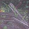 Rail Fence