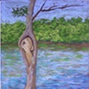 Landscapes
