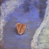 Shell on St. Andrews Beach