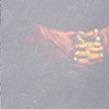Kevin's Hands