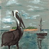 Card - Tortugas Pelican