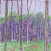 Harmonie Woods Bench