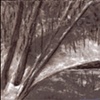 Card - Clear Creek