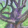 Old Oak