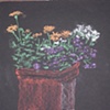 Flower Pot