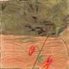 Card - Columbine