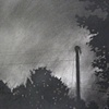 From the series "Are You Content in the Country When Strangers Are Uprooting Your Woods"